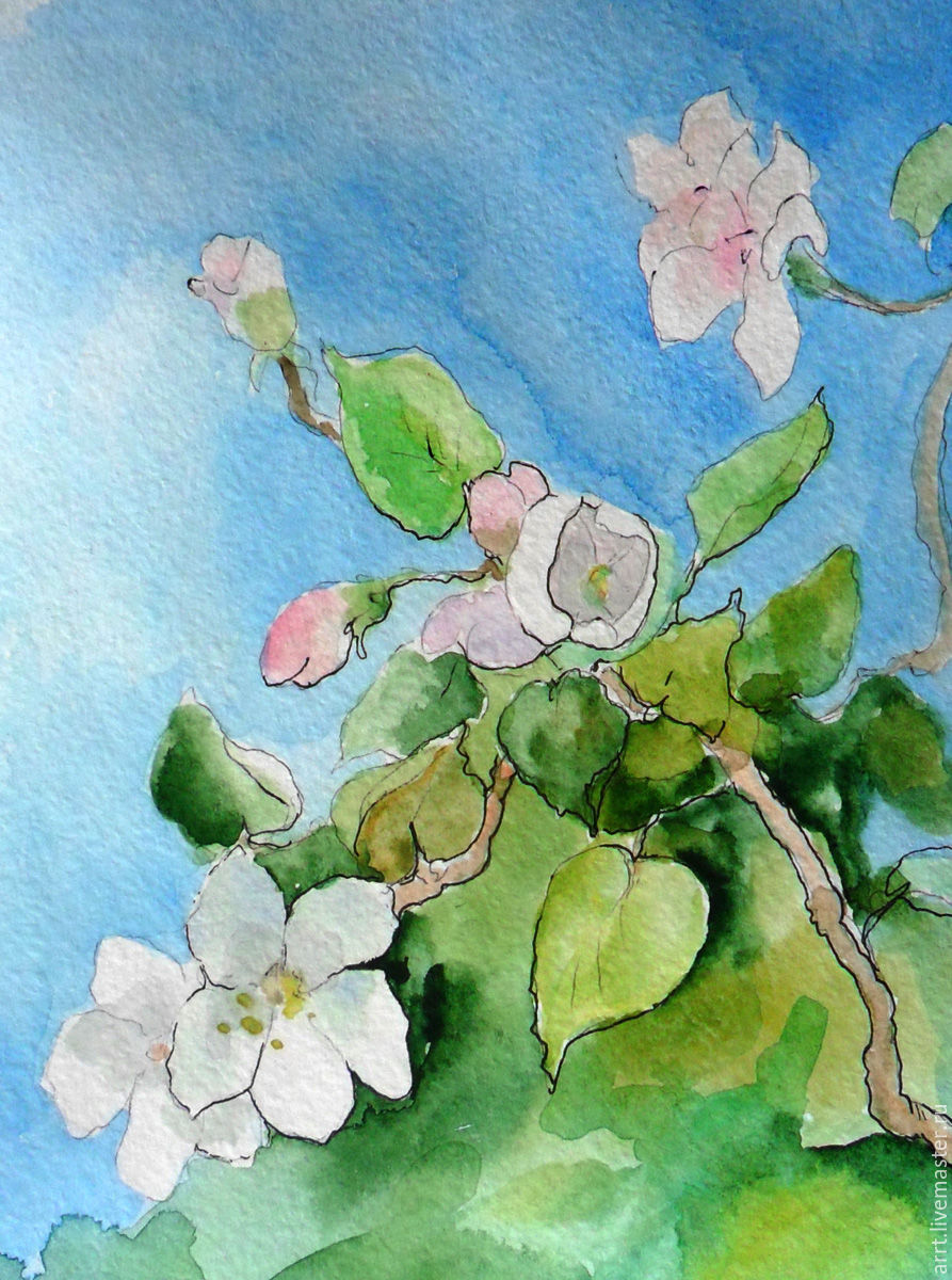 893x1200 The Picture Apple Tree In Blossom Watercolor 13kh18 Cm Shop