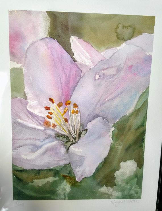 570x741 Apple Blossom Watercolor Print Etsy