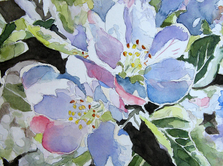 900x672 Apple Blossoms Watercolor Painting By Oliver Riedel