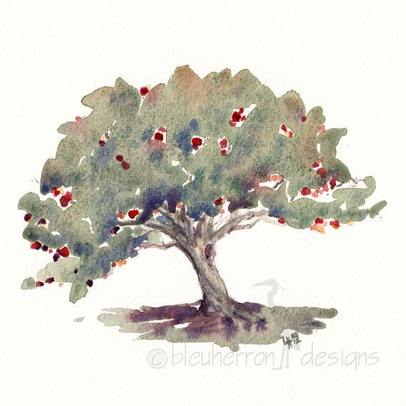 570x570 Red Apple Tree Food Art Watercolor Print Art Inspiration