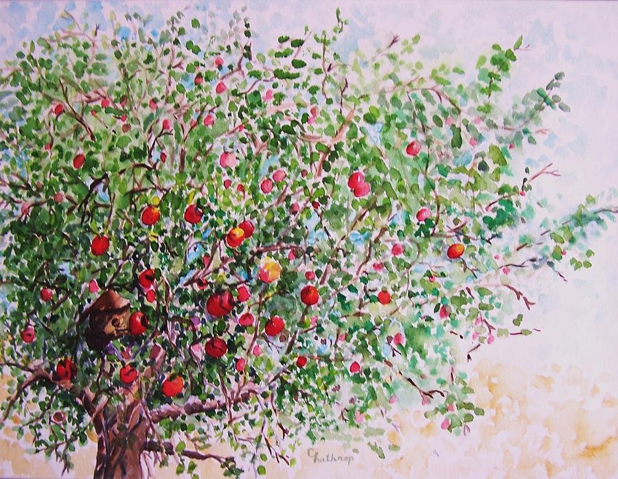 900x698 Apple Tree Painting By Christine Lathrop