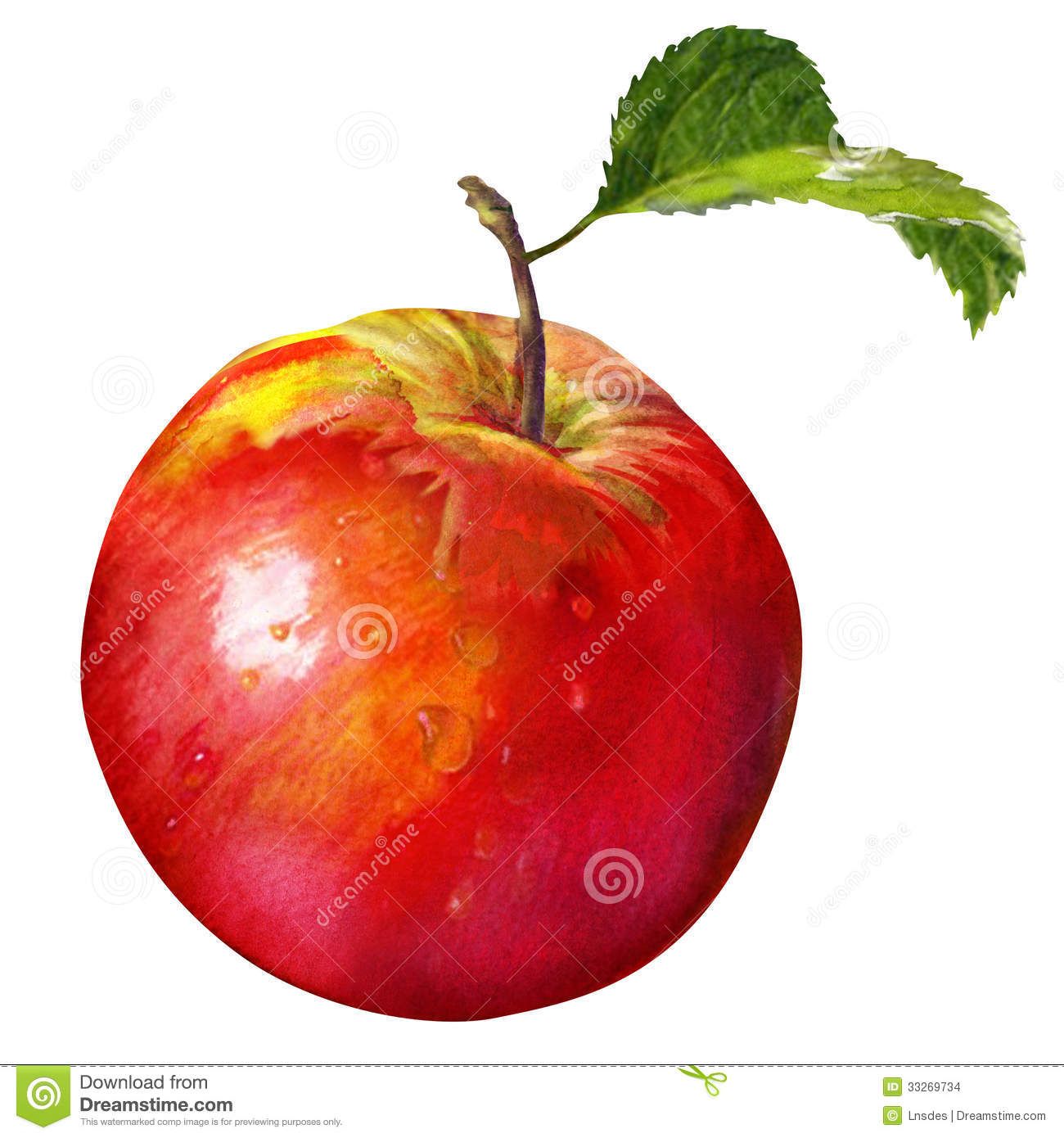 1300x1390 Watercolor Paintings Of Red Apples Watercolor Painting On White