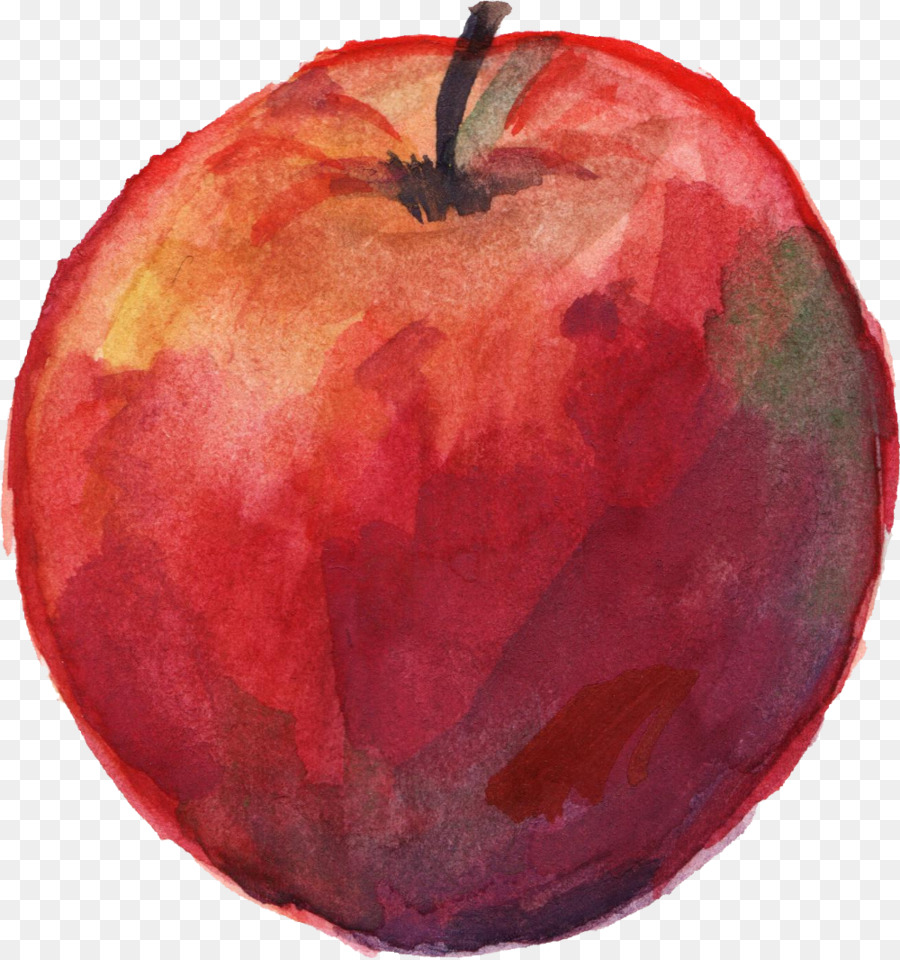 900x960 Apple Watercolor Painting