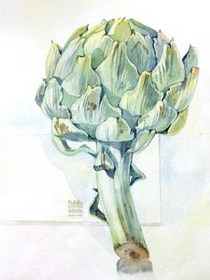 Artichoke Watercolor