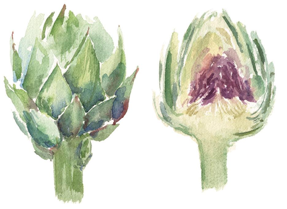 936x680 How To Pick A Perfect Artichoke The Mercury News