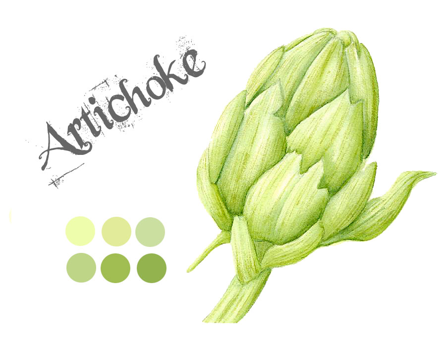 900x685 Laura Ashton Artichoke Watercolour Painting