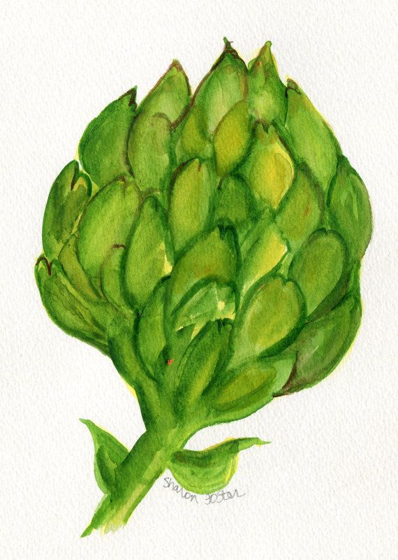 570x801 Original Artichoke Watercolor Painting, Fruit And Vegetable Series