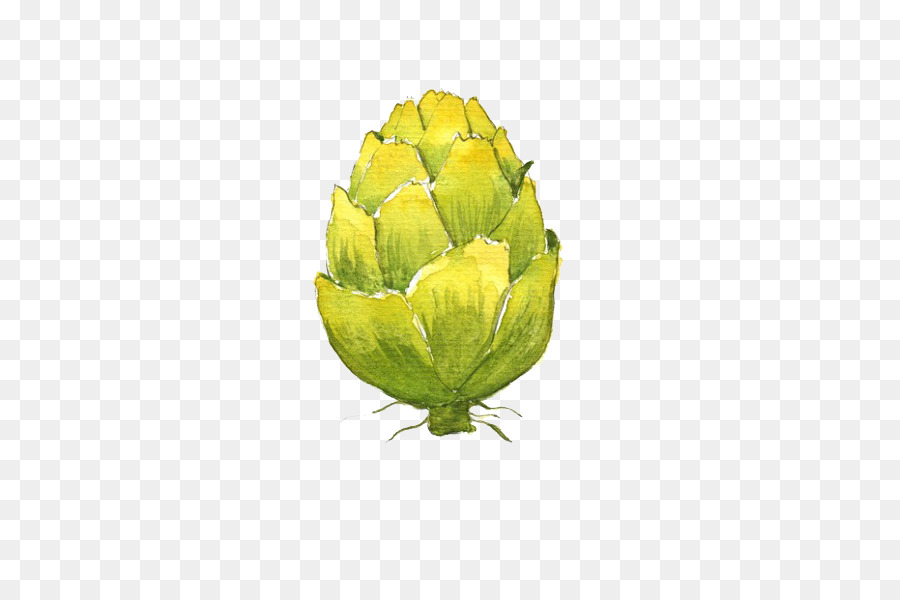 900x600 Watercolor Painting Artichoke Illustration