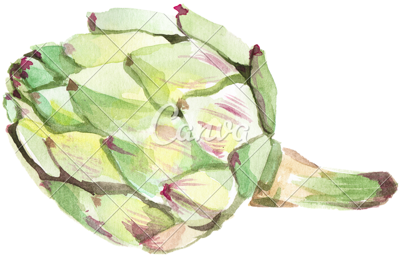 800x513 Watercolor Artichoke