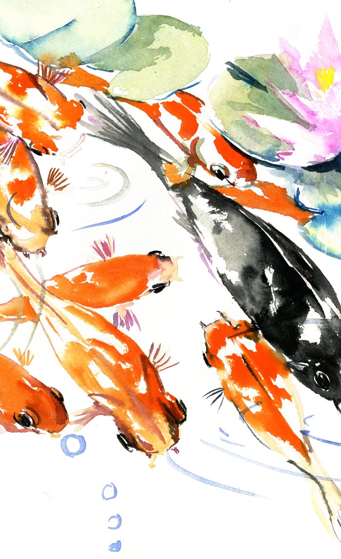 700x1149 Nine Koi Fish, 9 Koi, Feng Shui Artwork Asian Watercolor Ink