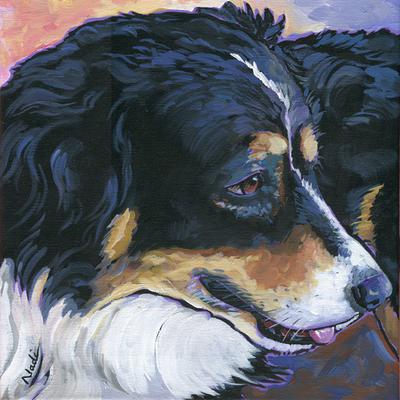 400x400 Australian Shepherd Paintings