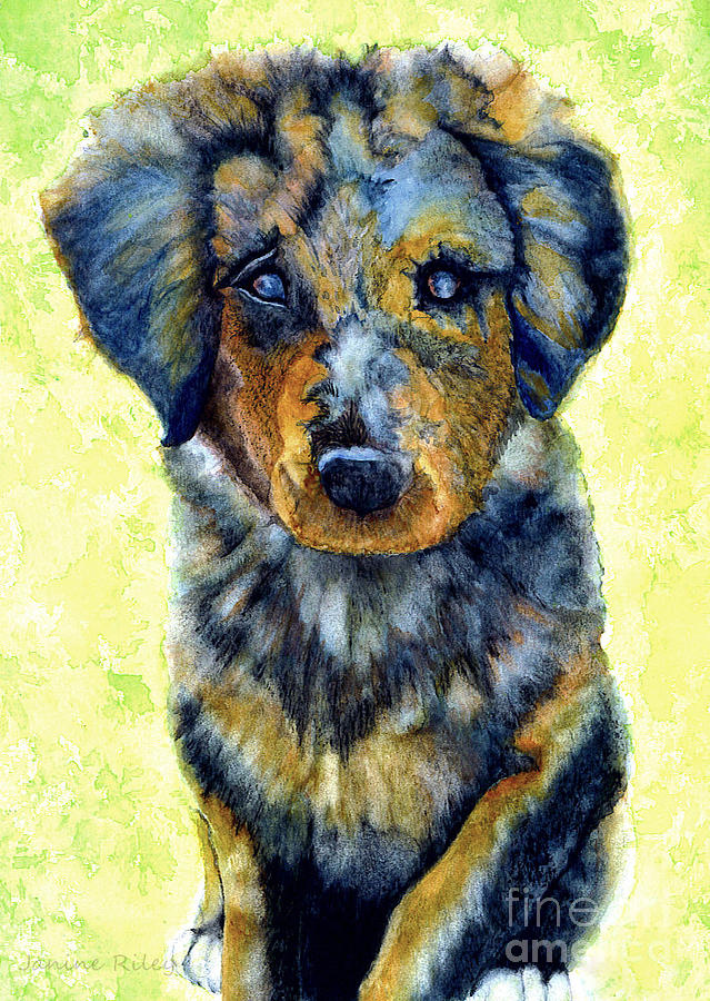 639x900 Australian Shepherd Puppy Painting By Janine Riley