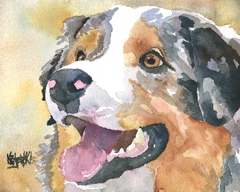 350x280 Australian Shepherd Watercolor Portrait 041707