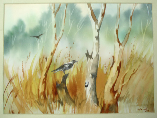 520x393 Watercolour Tips Free Art Lessons Amp Gallery With Julie Duell