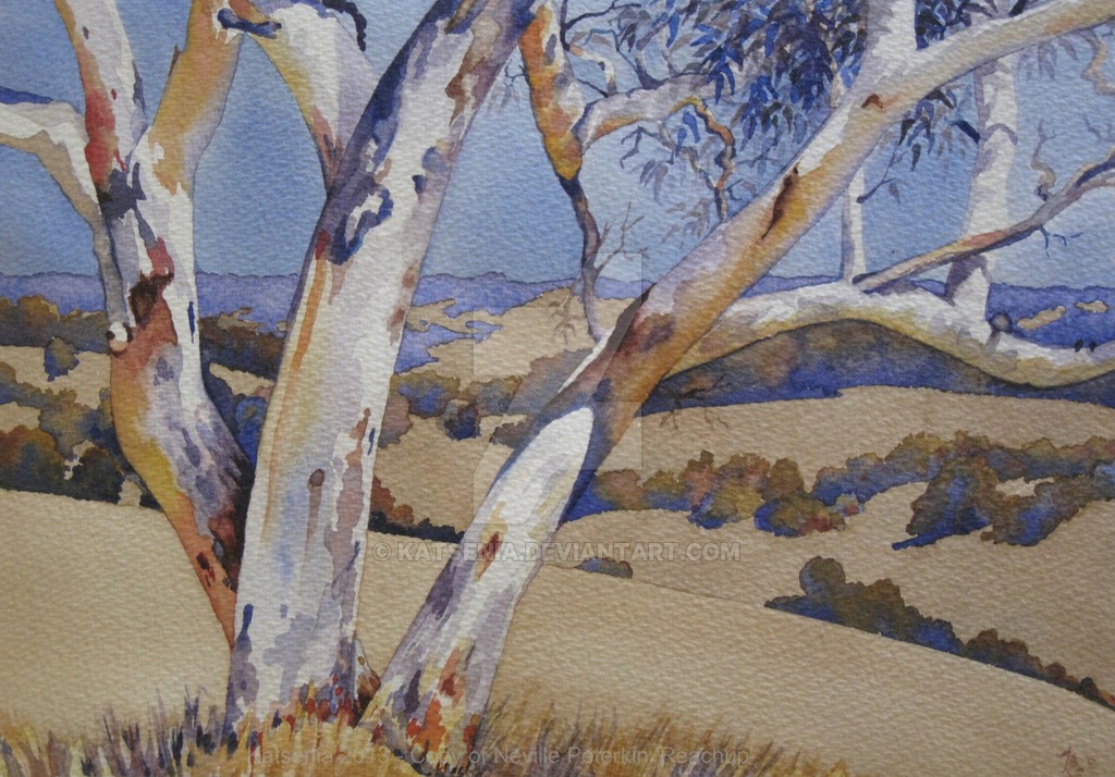 1024x714 Watercolour Of Australian Ghost Gum Tree By Katsenia