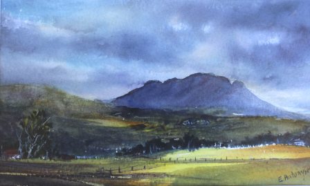 448x269 Diabetes Australia, Tasmania, Raffle Prize Watercolour Evantart