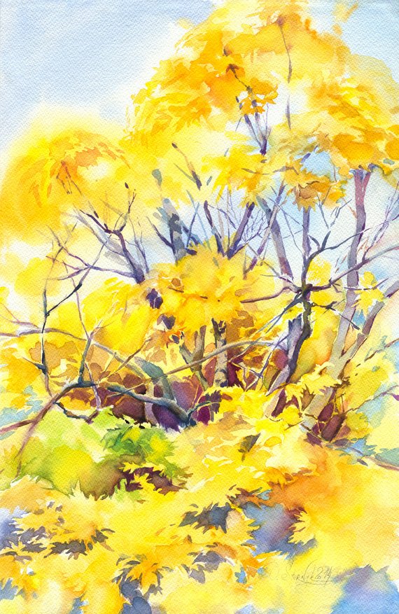 570x877 Autumn Tree Watercolor Painting Yellow Forest Painting Etsy