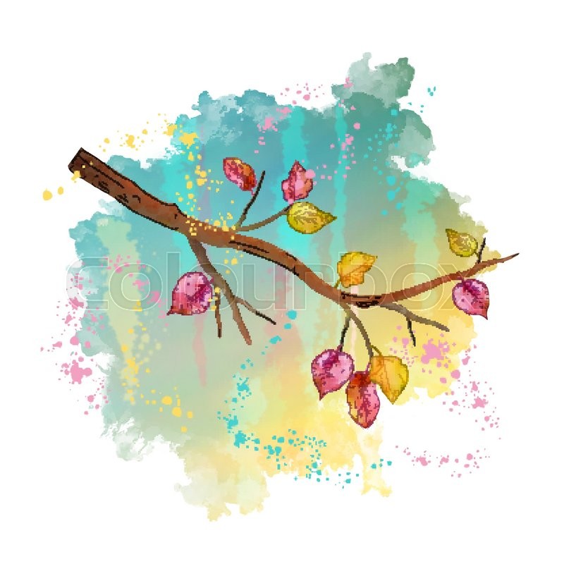 800x800 Watercolor Autumn Tree Branch On Painted Spot Background. Vector