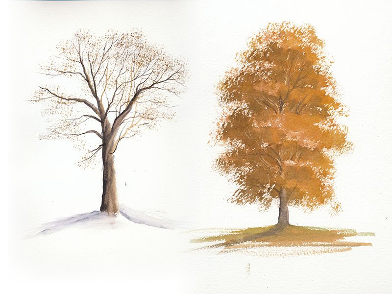 800x600 Watercolour Piece Of Trees Of All Seasons