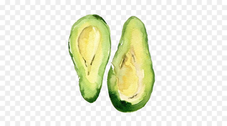 900x500 Avocado Watercolor Painting Drawing Food