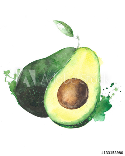 401x500 Avocado Fruit Watercolor Food Illustration Isolated On White
