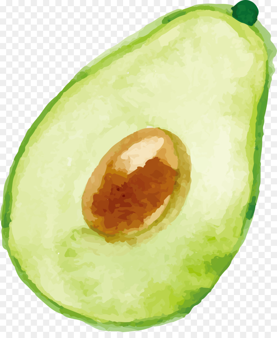 900x1100 Download Avocado Watercolor Painting Avocado Vector Watercolor