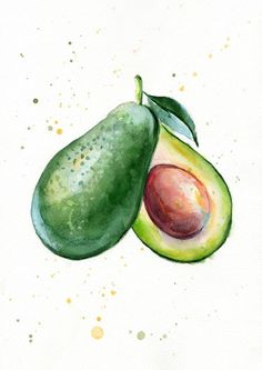 236x333 Avocado Art Print, Kitchen Art, Botanical Watercolor Print