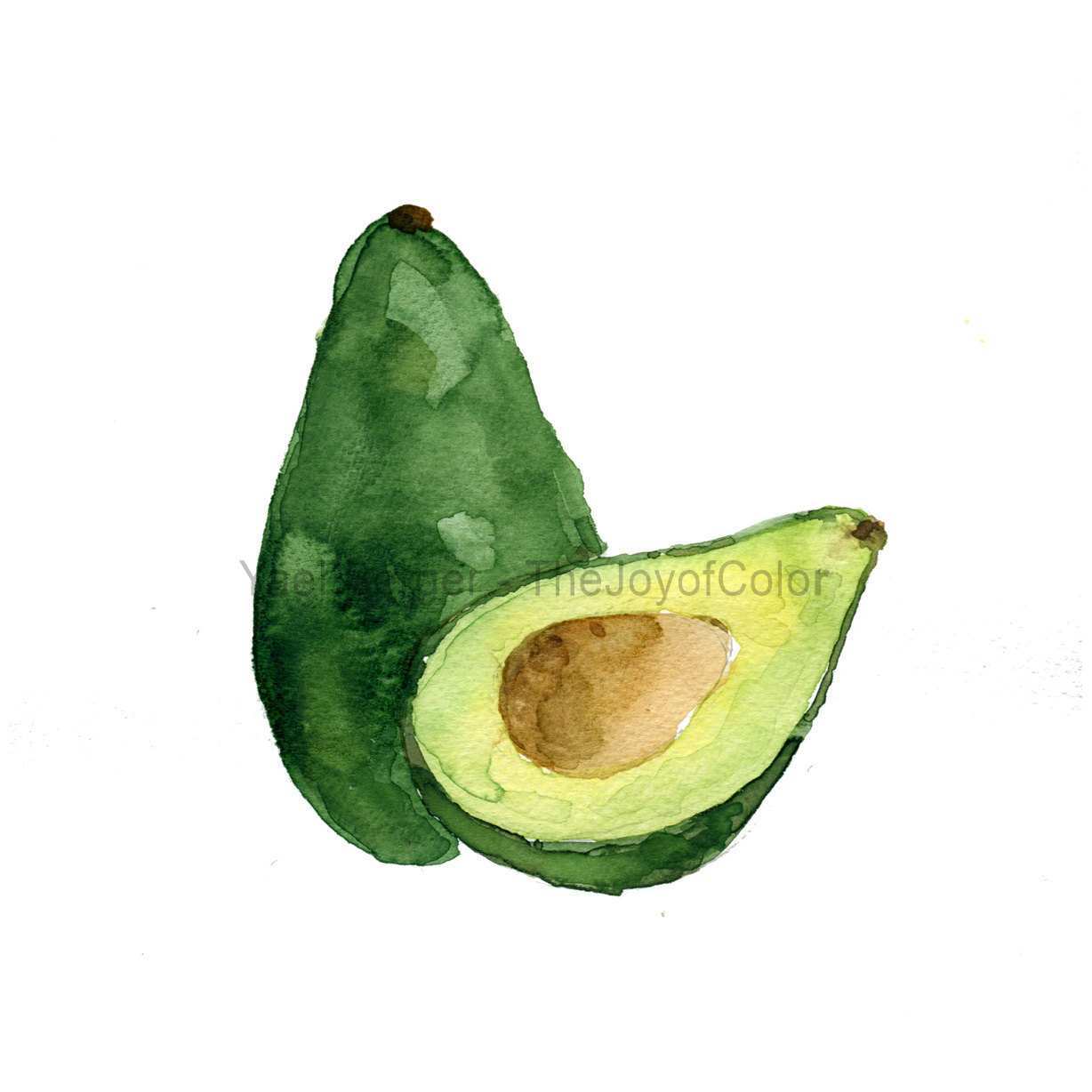 1228x1228 Avocado Painting Unique Avocado Study Number Three Avocado Art