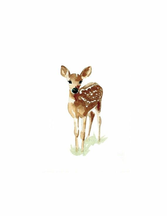 570x738 Baby Watercolor Deer Watercolor Dreams Watercolor