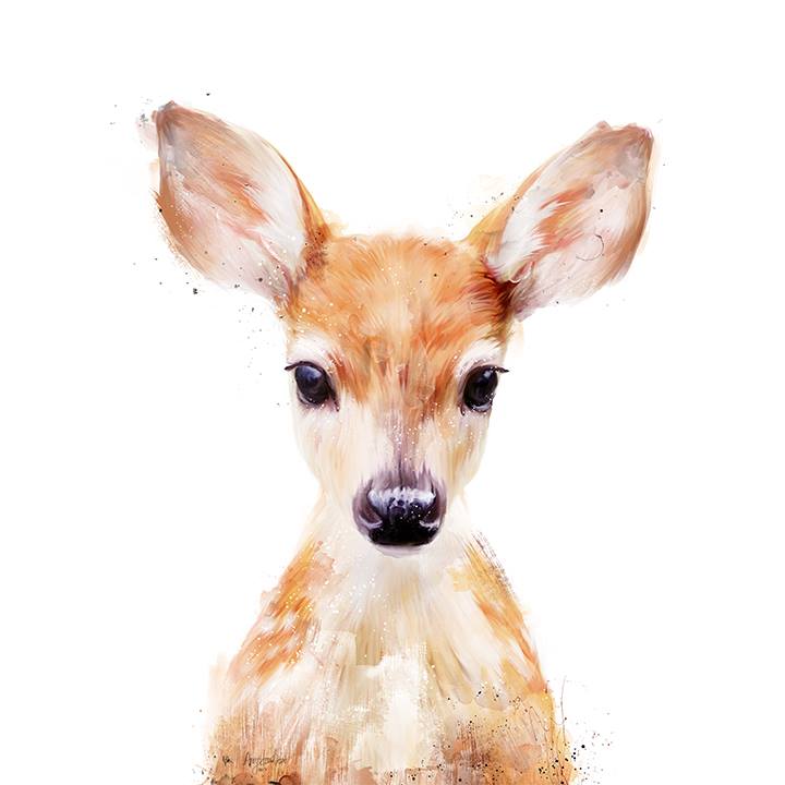 720x720 Collection Of Baby Deer Head Drawing High Quality, Free