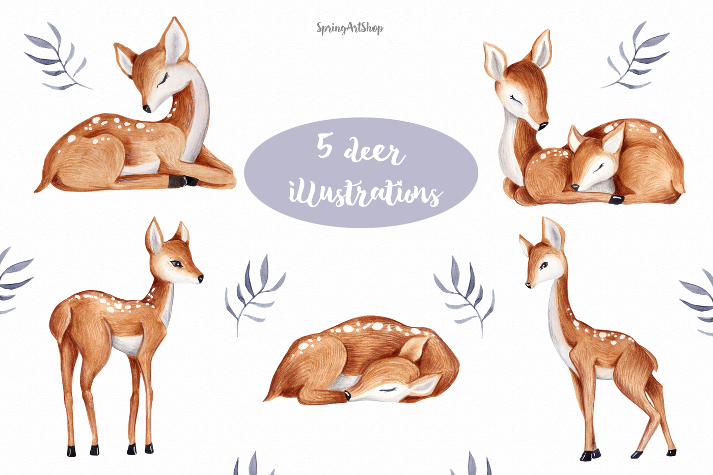 1400x933 Cute Baby Deer Watercolor Clipart By Springartshop