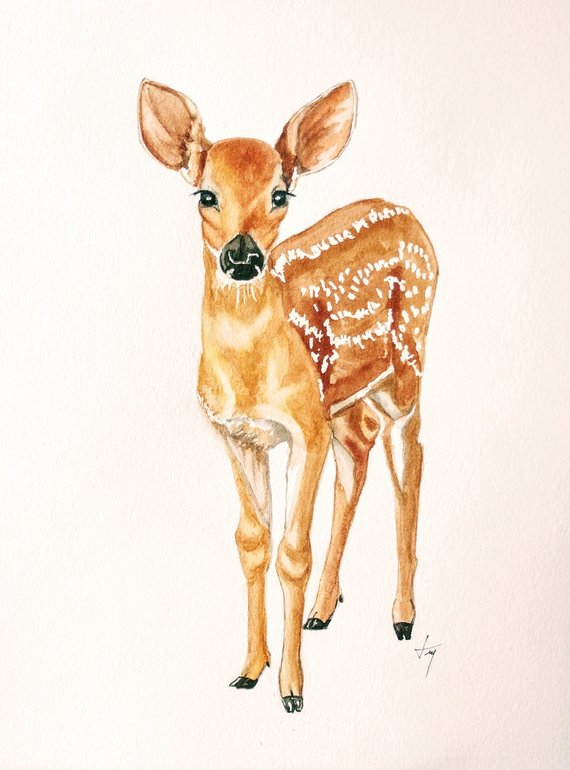 570x770 Original Deer Watercolor Painting Baby Deer Watercolor Etsy