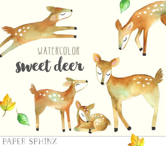 570x499 Watercolor Deer Clipart Mommy And Baby Deer Woodland Animals Etsy