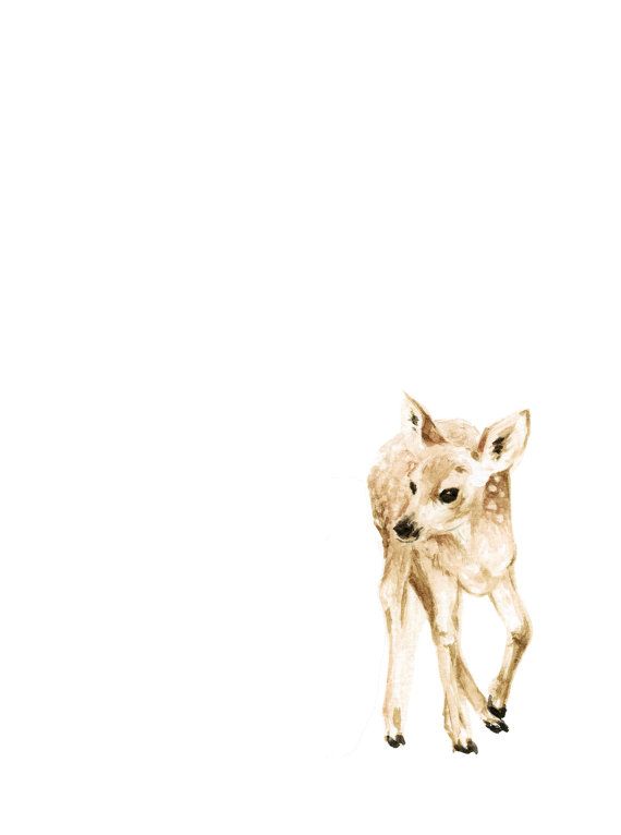 570x766 Baby Deer Watercolor Print Woodland Animal Painting