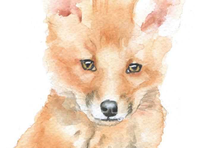 700x500 Baby Fox Watercolor Foxes, Watercolor And Babies