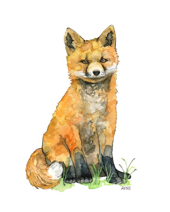 570x712 Watercolor Baby Fox Painting Print Titled Baby Etsy