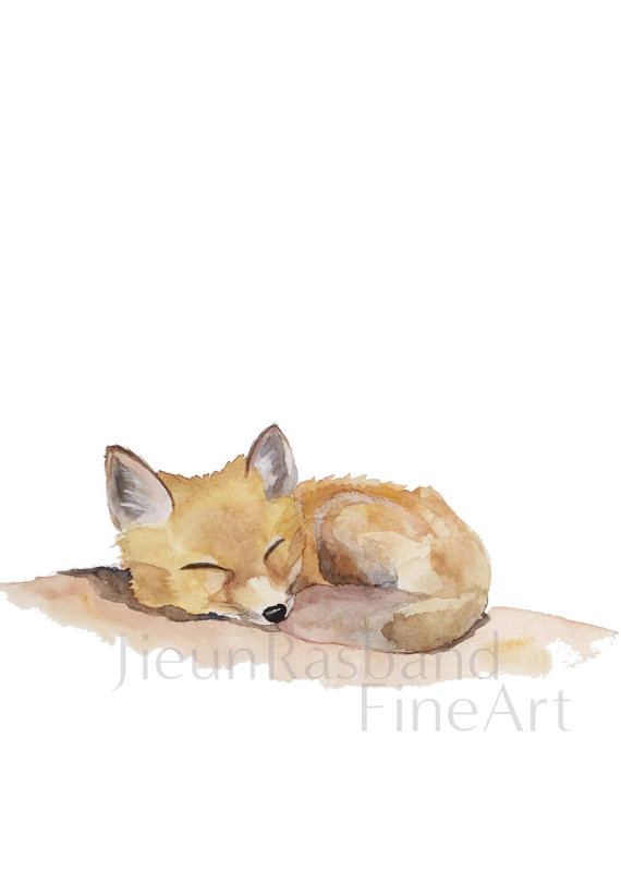 570x798 Sleeping Baby Fox Instant Print Printable By Jieunrasbandfineart