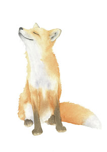 212x300 Baby Fox Paintings