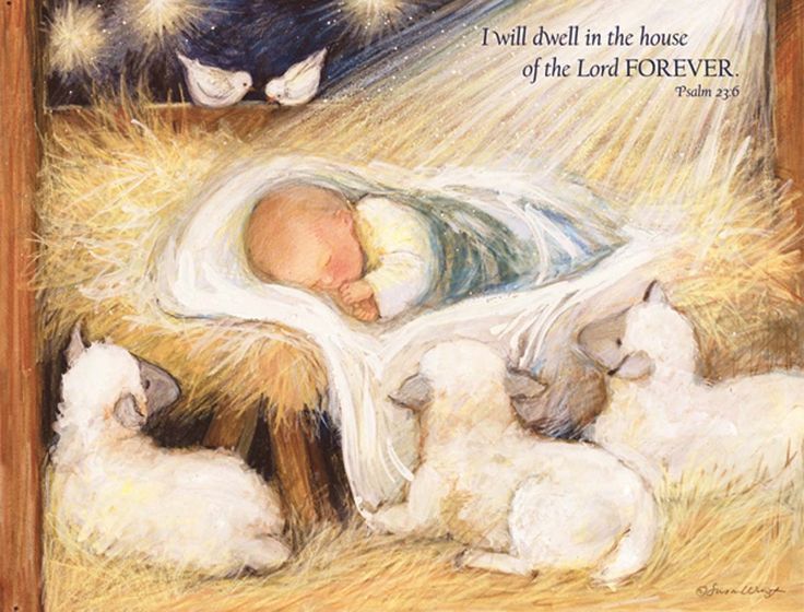 736x560 Jesus Christmas Dp 11 Profile Pictures Dp