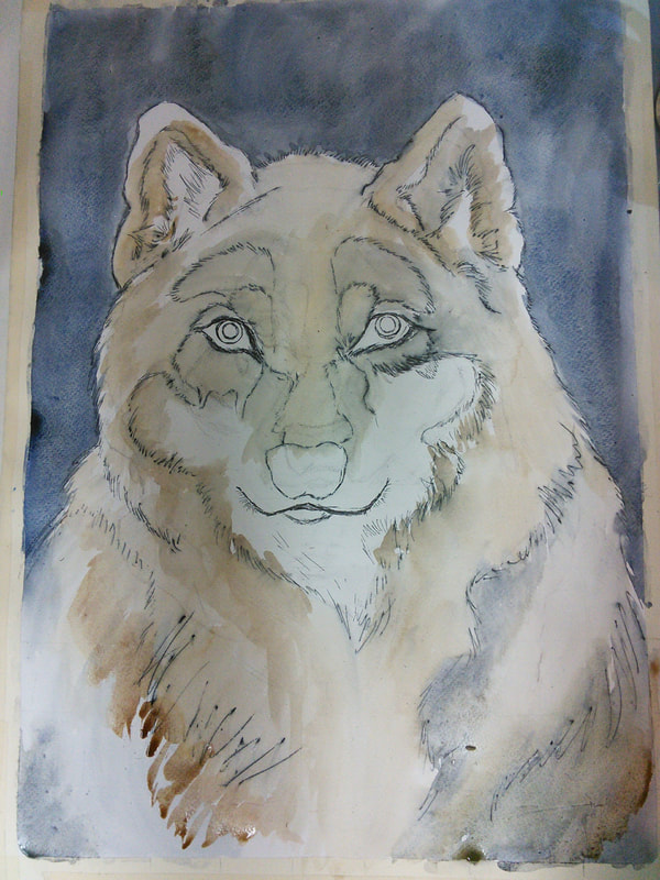 600x800 Big Bad Wolf Watercolor And Pen