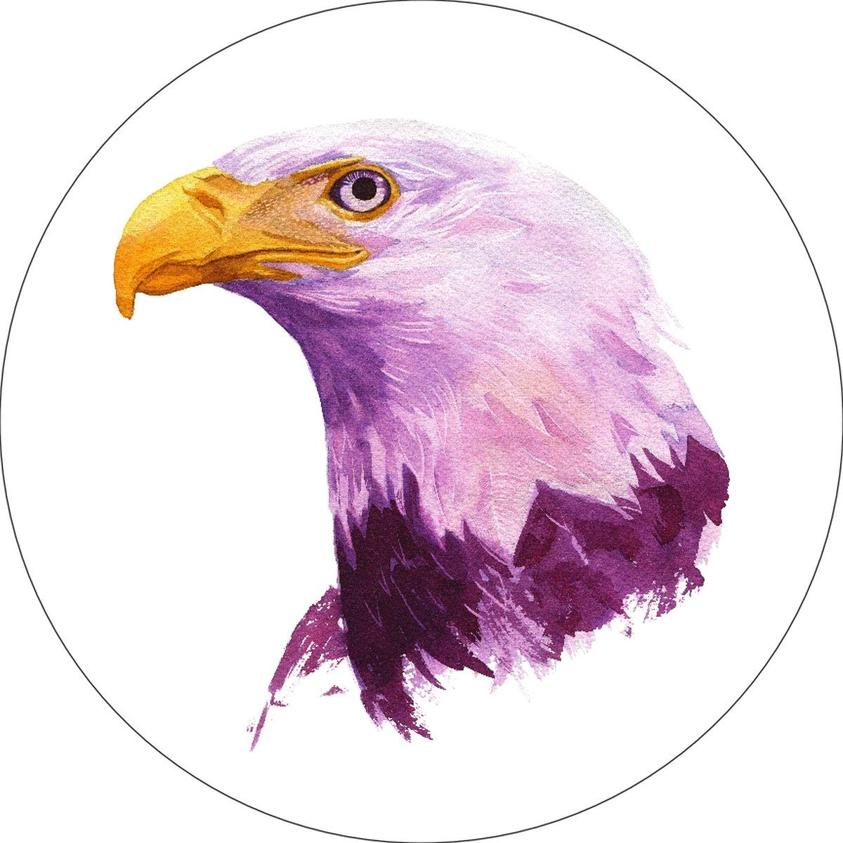 Bald Eagle Watercolor