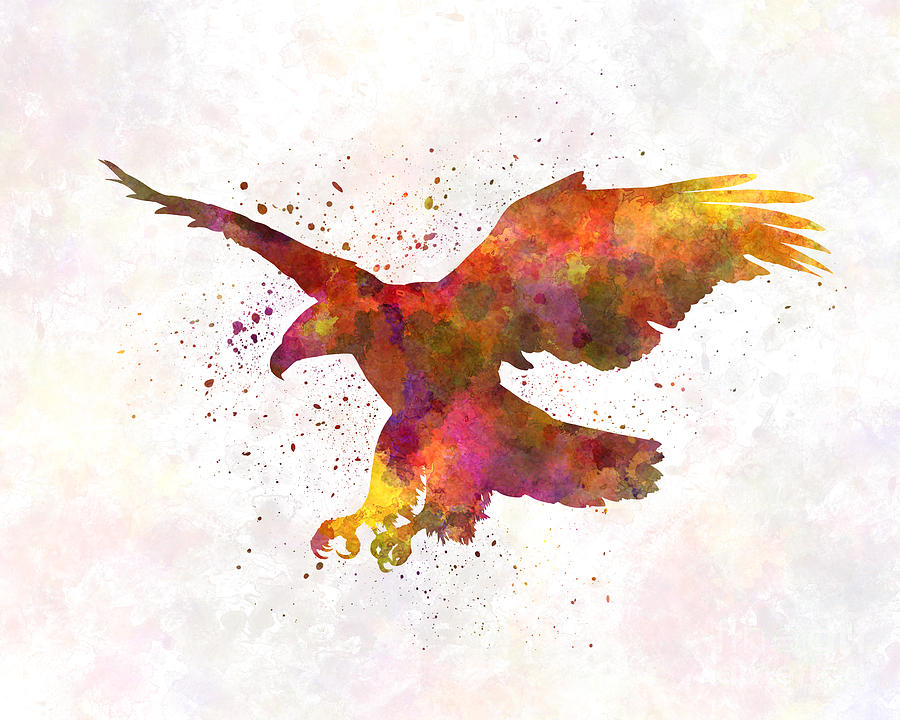 900x720 Bald Eagle 01 In Watercolor Painting By Pablo Romero