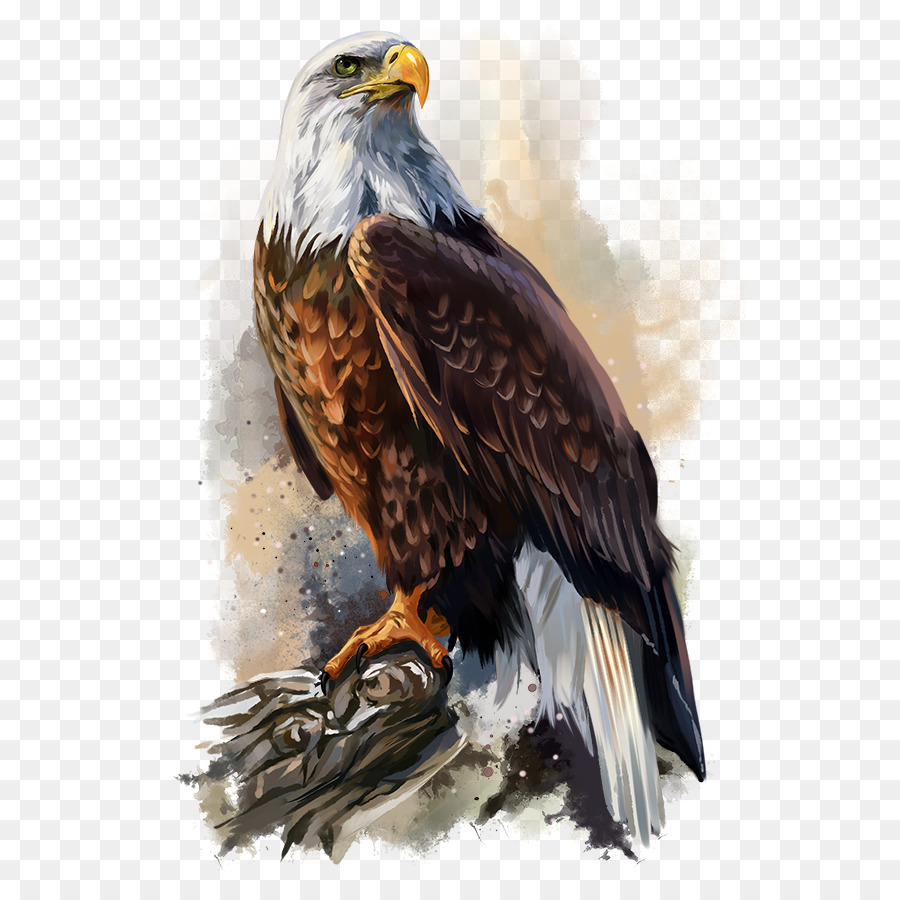 900x900 Bald Eagle Poster Art