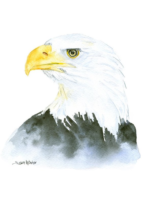 570x798 Bald Eagle Watercolor Painting 5 X 7 Giclee Print Fine Etsy