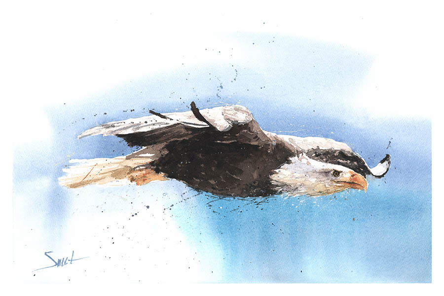 900x600 Bald Eagle Watercolor Print Watercolor Animal Paintings