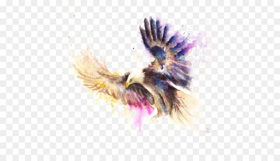 900x520 Bald Eagle Watercolor Painting Art