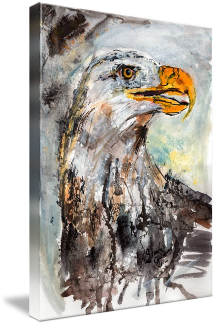 431x650 Bald Eagle Wildlife Watercolor By Ginette Callaway