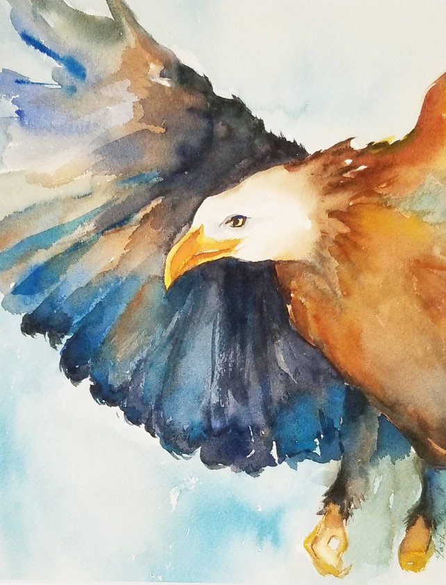 642x841 Bald Eagle Colorful Watercolor Paintingoriginal Watercolor Etsy