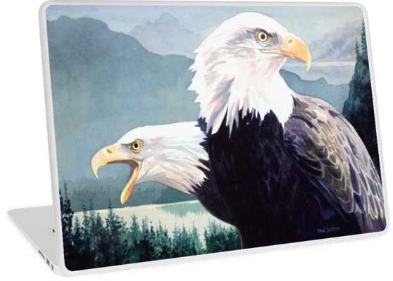 558x400 Vigilance Bald Eagle Watercolor Laptop Skins By Paul Jackson