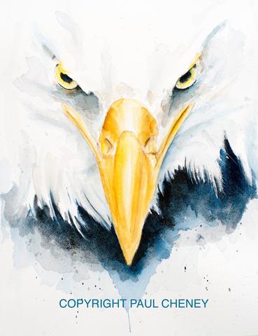 369x480 Bald Eagle Art